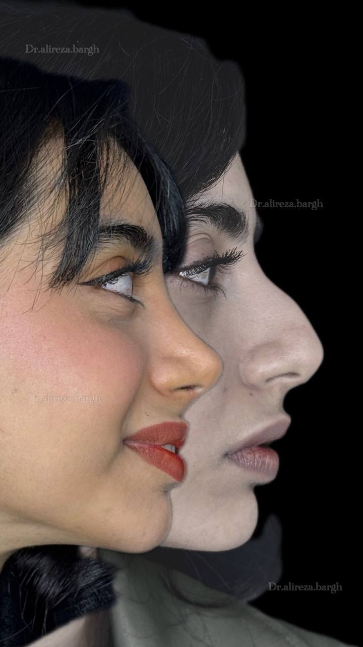نمونه کار